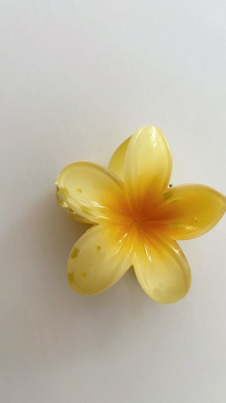 Flower Hair clips